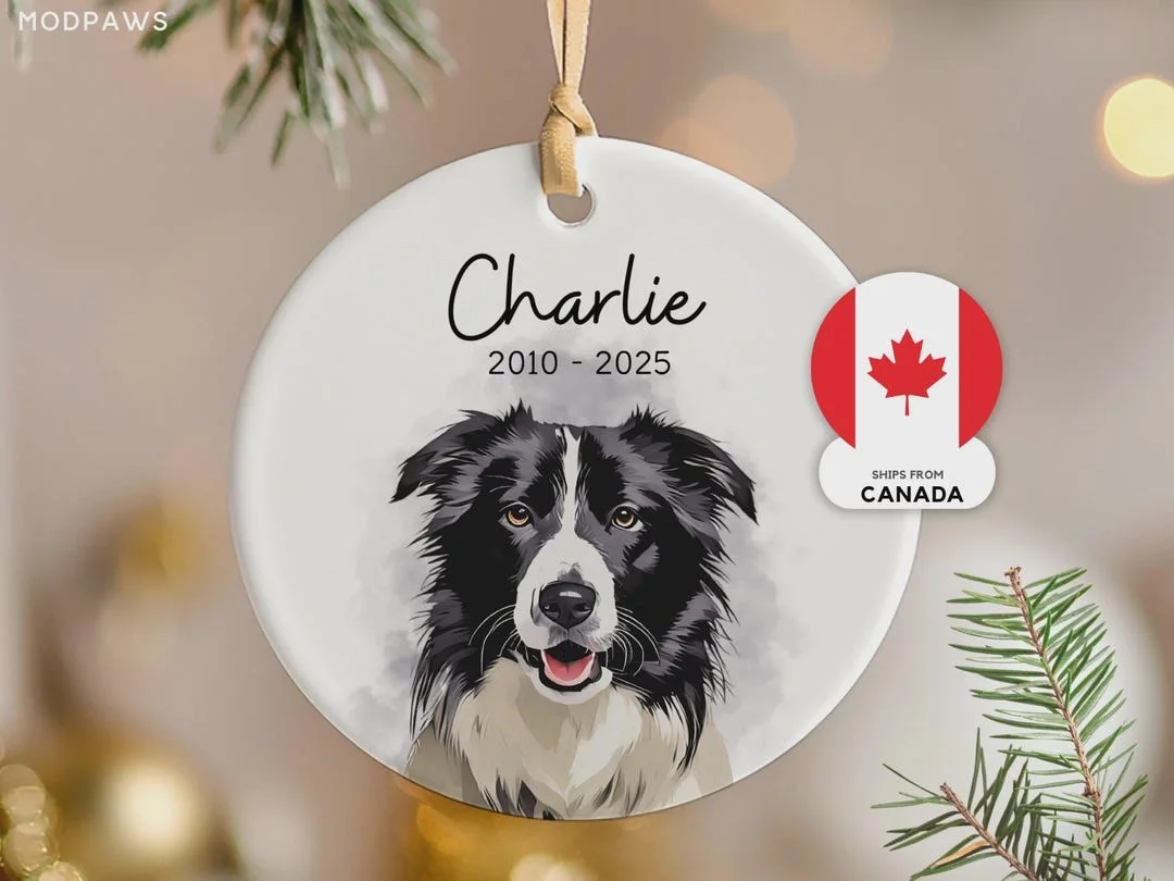 Personalized Watercolor Pet Photo Ornament (Etsy)