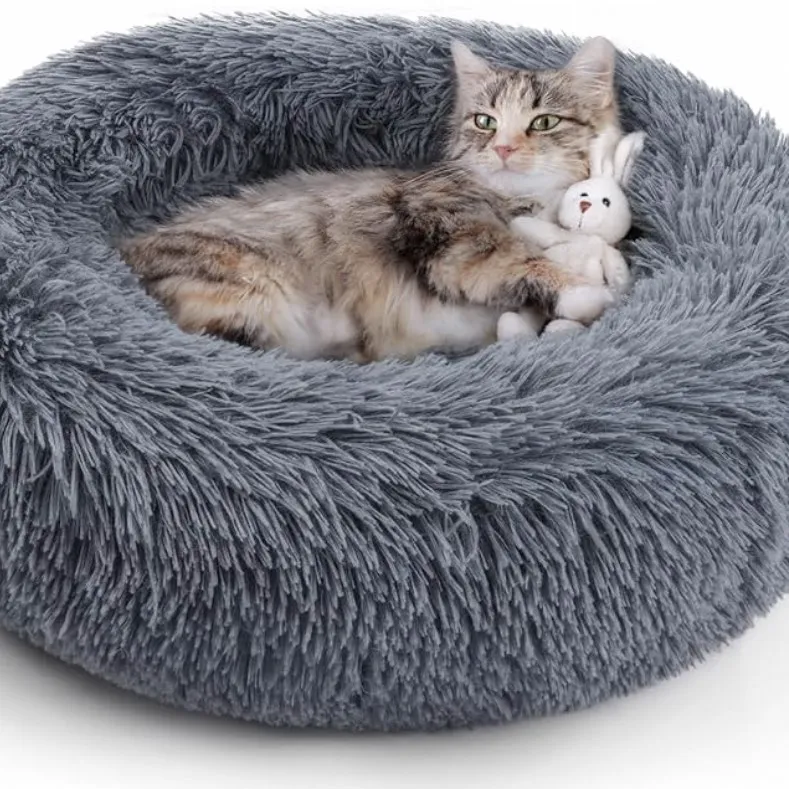 Bed for Indoor Cats