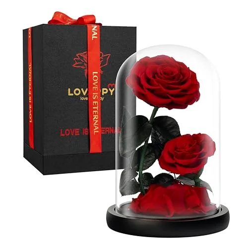 Preserved Rose in Glass Dome