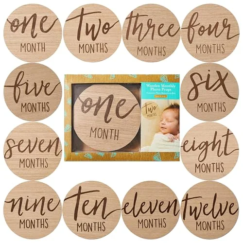 Baby Monthly Milestone Discs