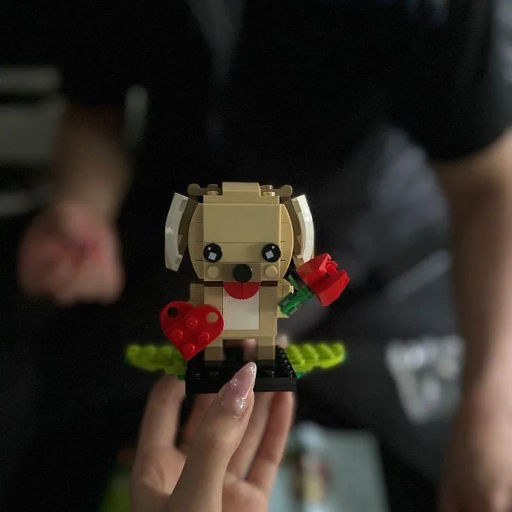 Collect the LEGO St. Valentine's set together