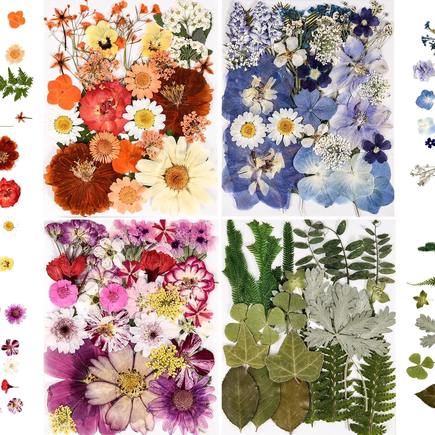 Dried Pressed Flowers for Resin Crafts (110+ pcs)