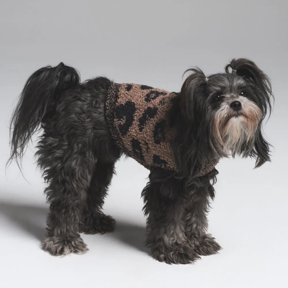 Skims knit pet sweater