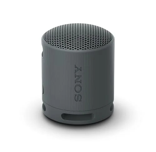 Sony SRS-XB100 Portable Speaker