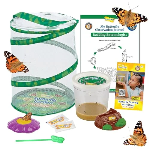 Butterfly Garden with Live Caterpillars