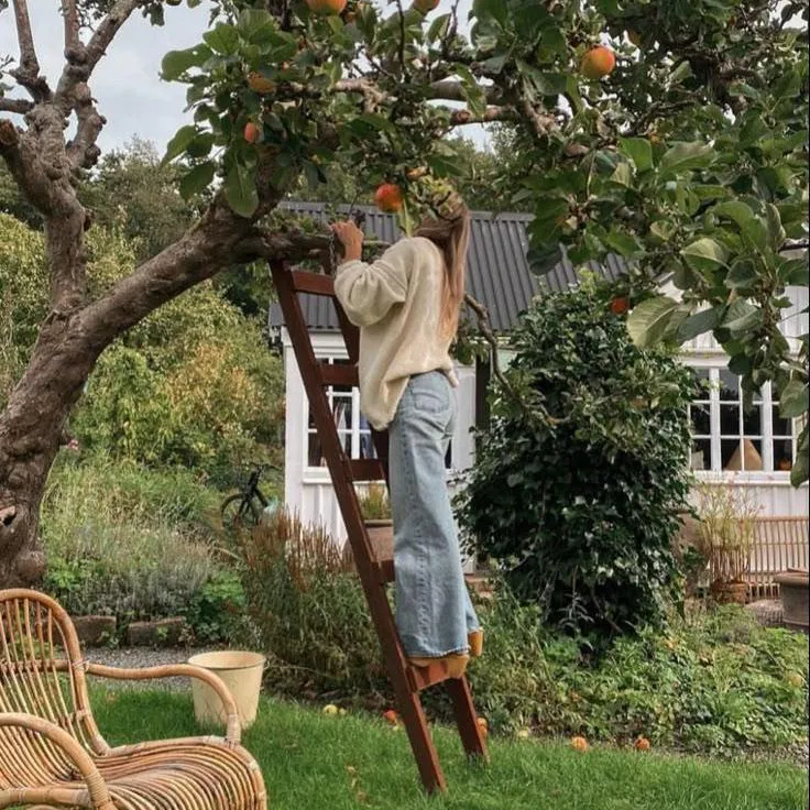 Digital Detox Nature Retreats .. “touch grass”