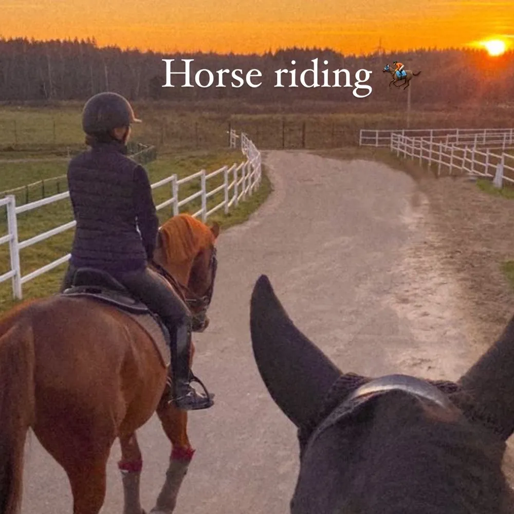 Idea for the weekend: horse riding