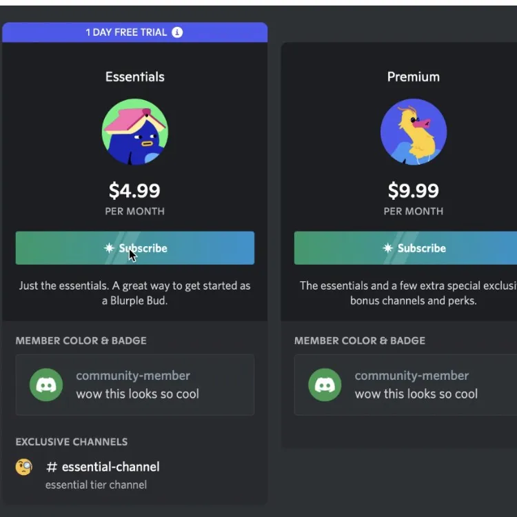 Discord Subscription