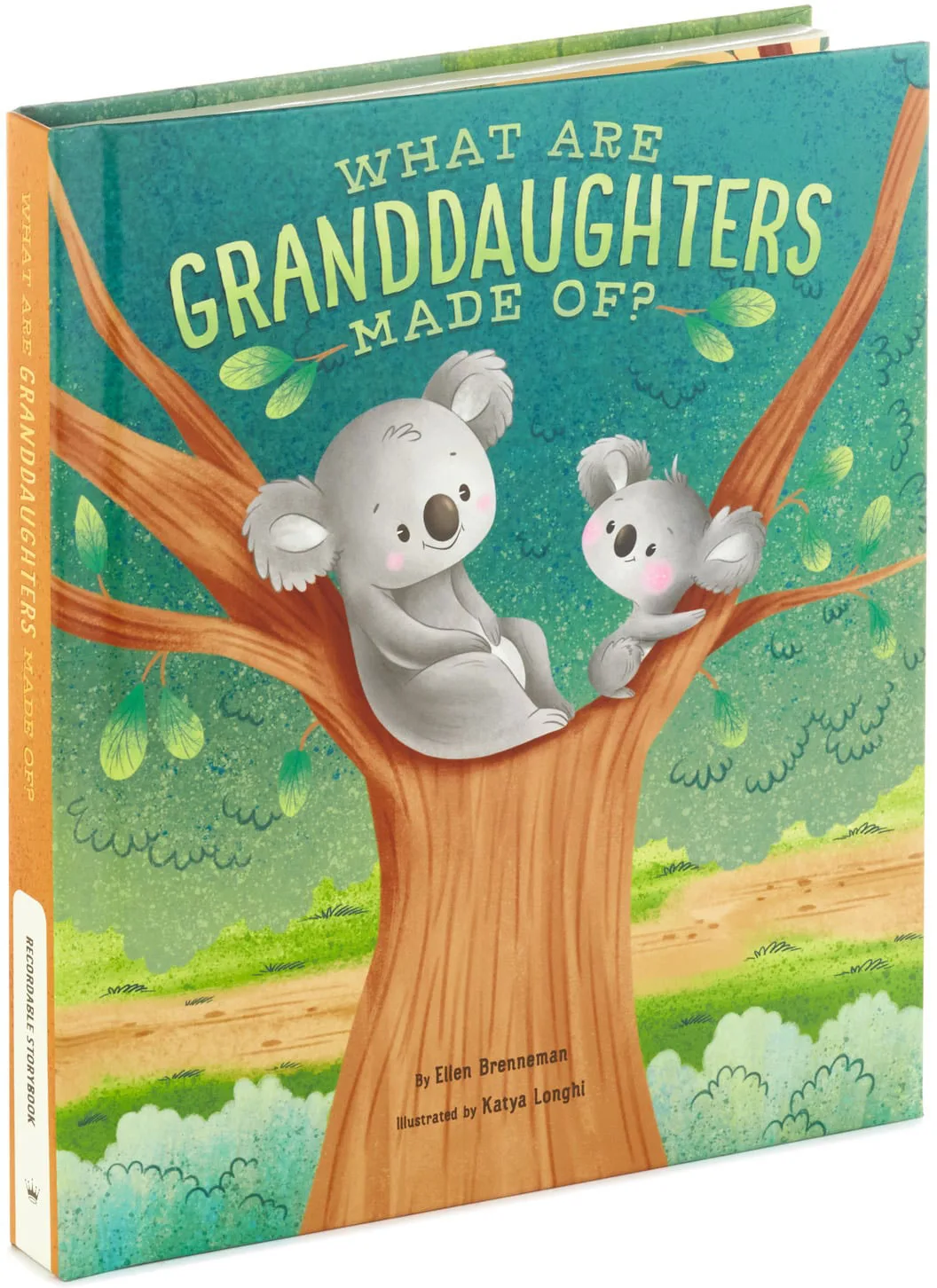 7. Recordable Storybook in Grandma's Voice