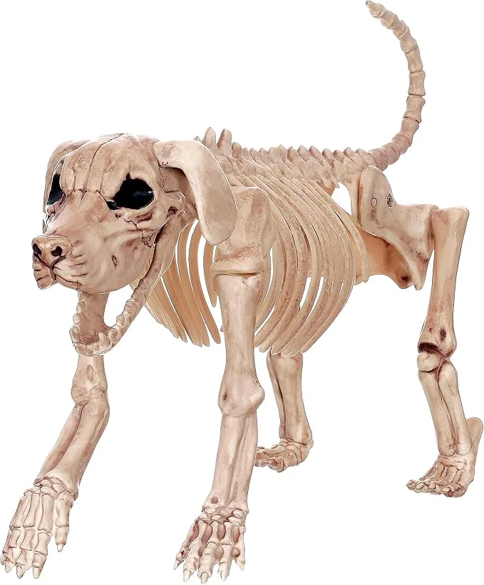 20. Crazy Bonez Skeleton Dog