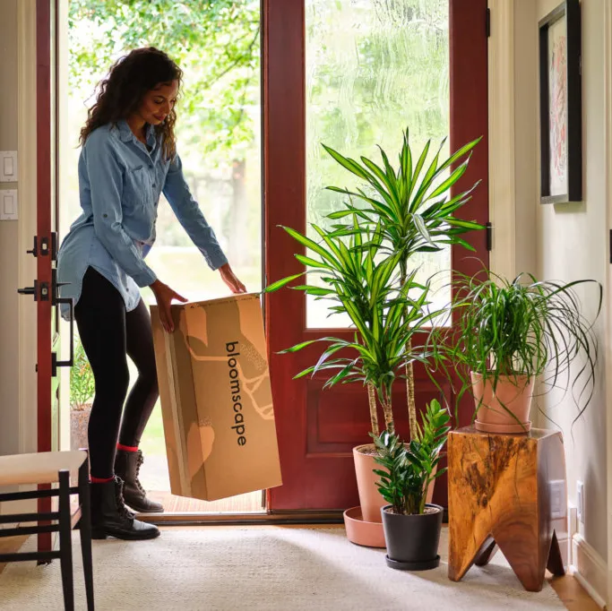 16. Plant Subscription Box