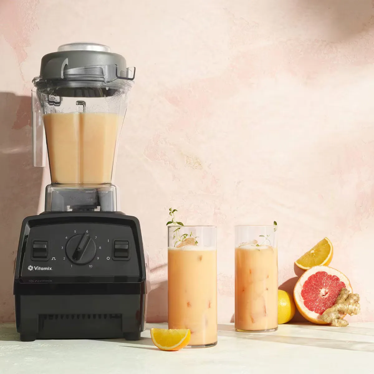3. Vitamix Explorian E310 Blender (for baby purees)