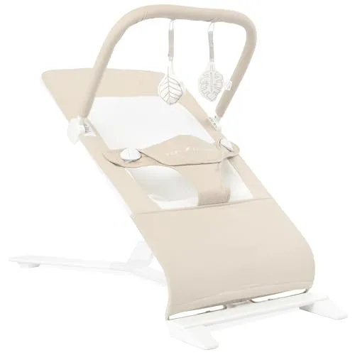 Baby Delight Alpine Deluxe Bouncer