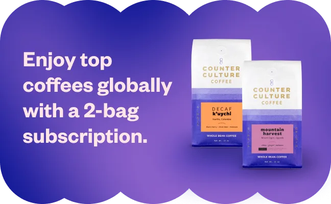 6. Counter Culture Coffee Holiday Advent Calendar