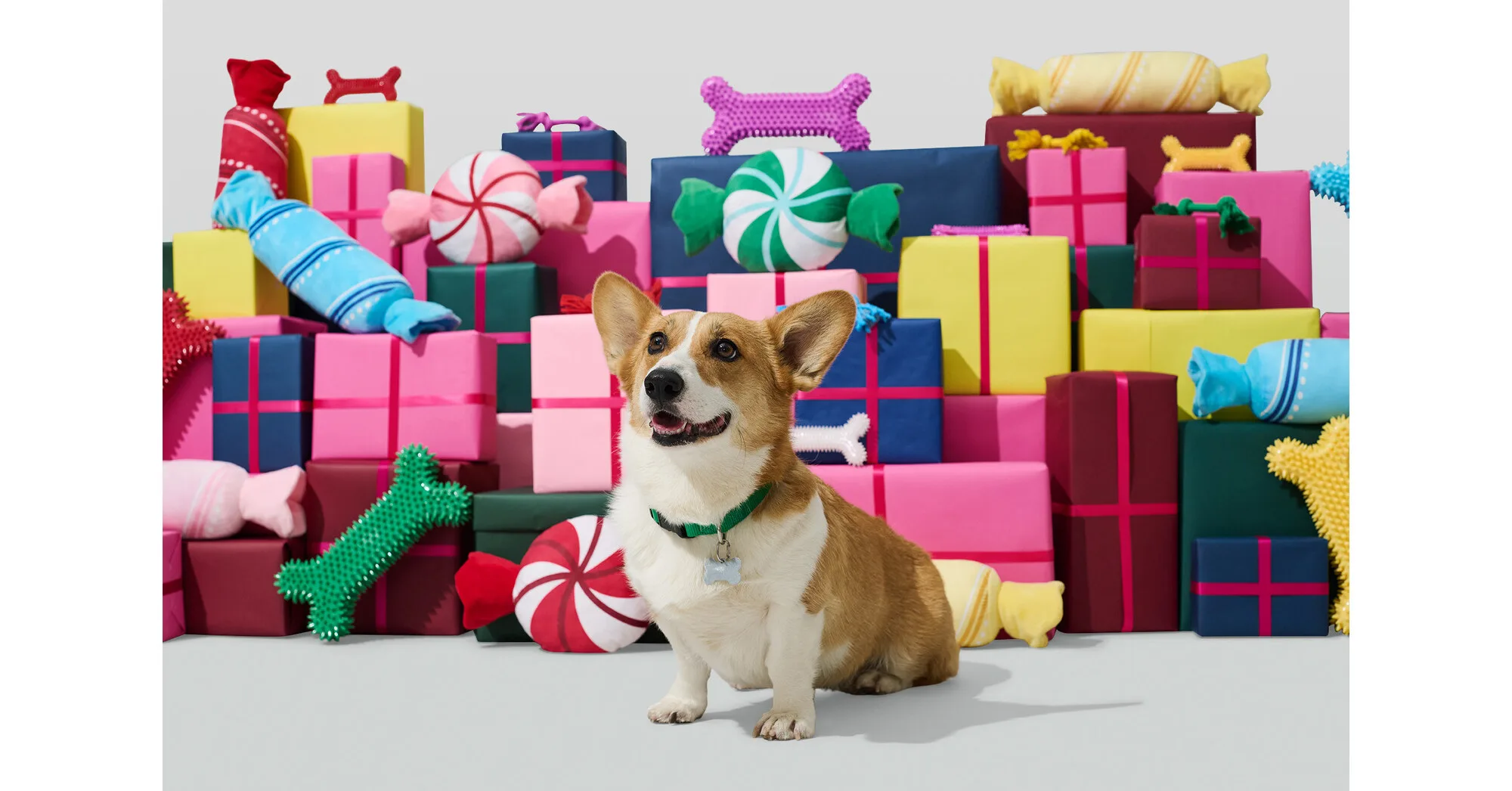 8. Petco Merry Makings Cat Advent Calendar