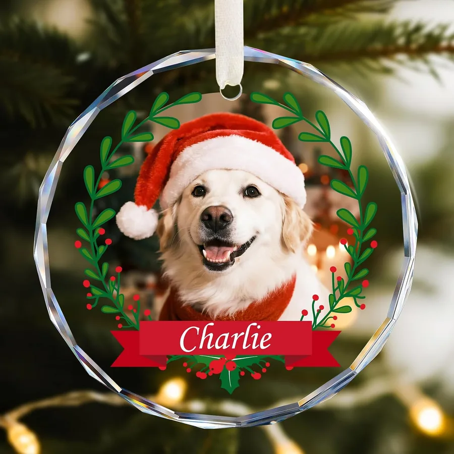 Personalized Pet Photo Ornament