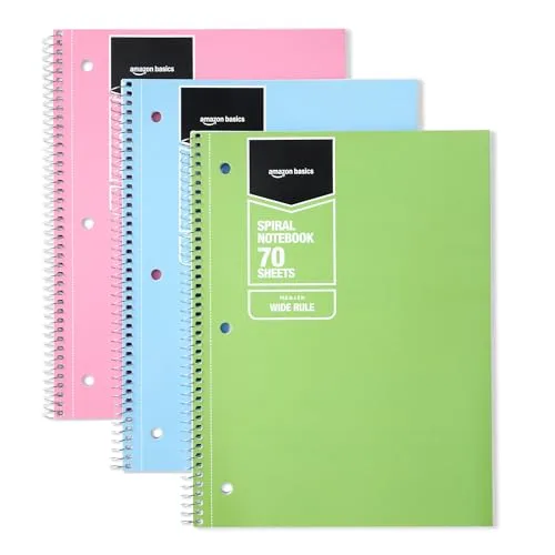 Amazon Basics Teacher Planner