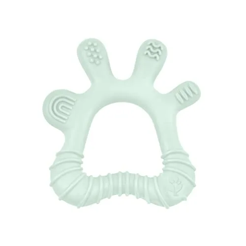 19. Green Sprouts Silicone Teether & Pacifier Set