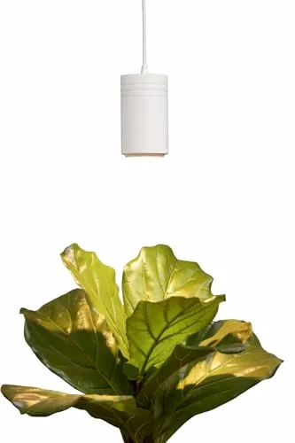 Soltech Aspect Grow Light