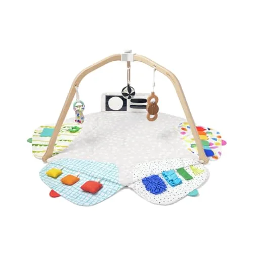14. Lovevery The Play Gym