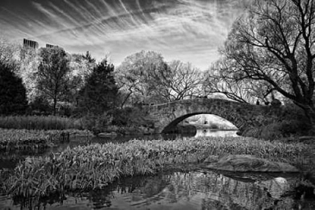 12. Central Park Photo Poster Print (24×36)