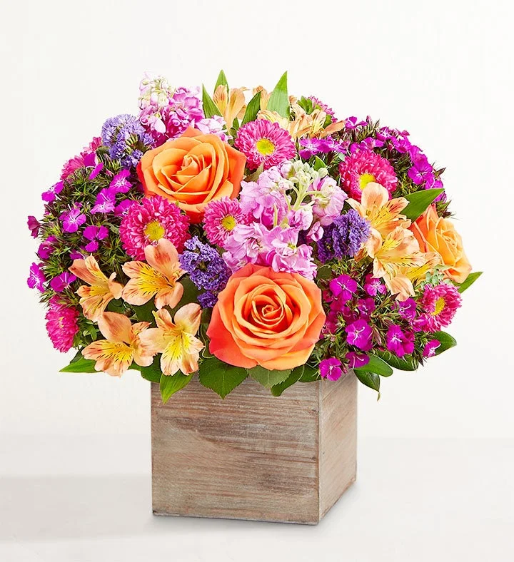 Splendid Beauty Bouquet — 1-800-Flowers
