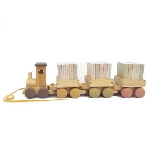 My Little Locomotive Library: 15 Board Books + Wooden Train (Tabitha Paige)