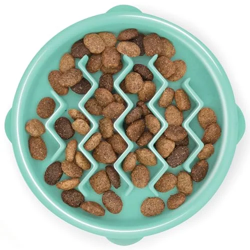 Outward Hound Fun Feeder Slow Bowl