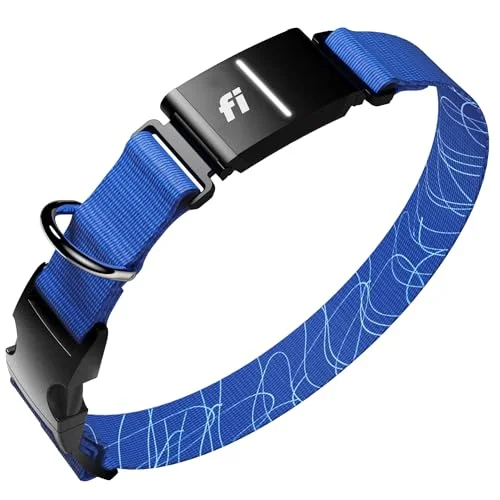 Fi Series 3+ GPS Dog Collar