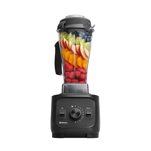 Vitamix VX1 Professional Blender